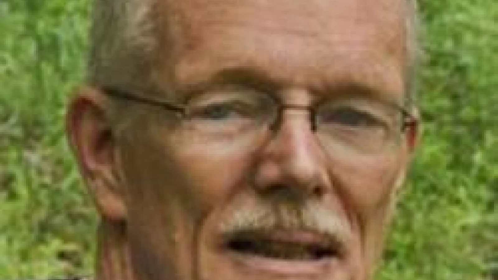 Professor Richard Freeman head shot