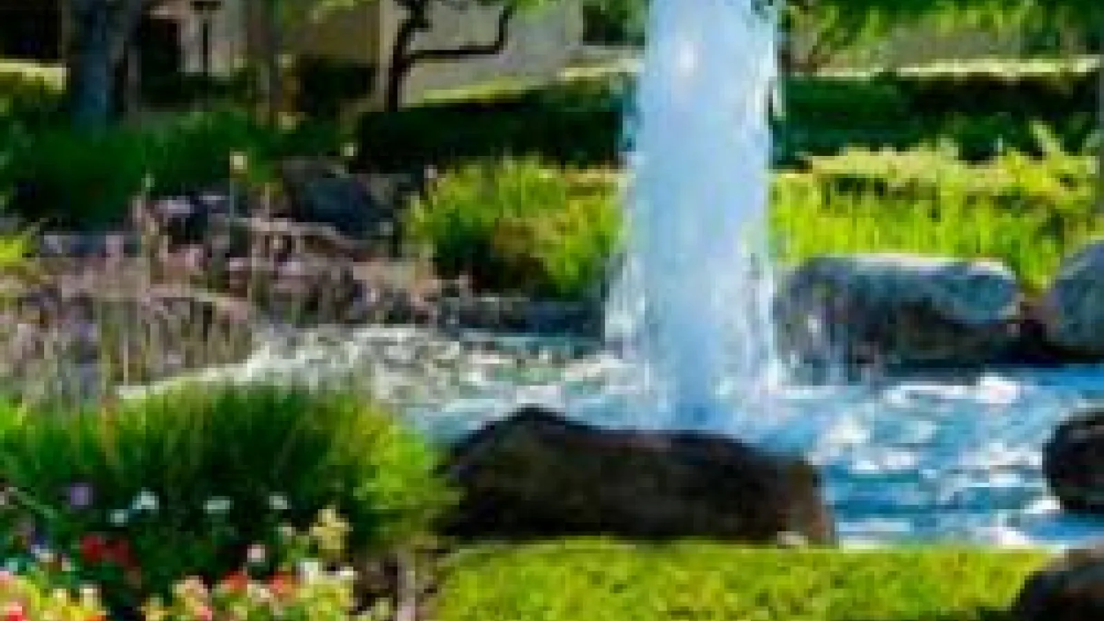 Decorative fountain surrounded by greenery